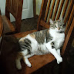 Meet your Posher, Deanna